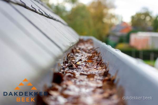 Verstopte dakgoot met bladeren schoonmaken in Beek Verstopte dakgoot met bladeren schoonmaken in Beek